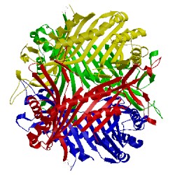 Image of CATH 1ws2