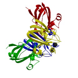 Image of CATH 1ws8