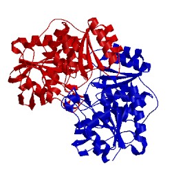 Image of CATH 1wsa