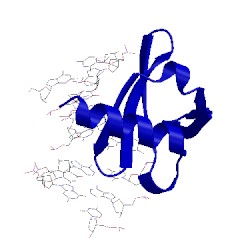 Image of CATH 1wtq