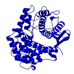 Image of CATH 1wu4