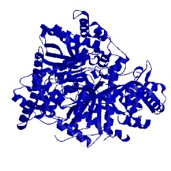 Image of CATH 1wv0