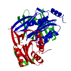 Image of CATH 1wvq