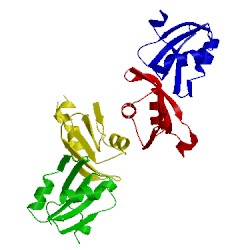Image of CATH 1wwh