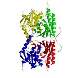 Image of CATH 1wwr