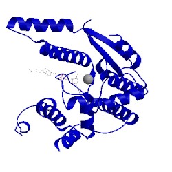 Image of CATH 1wxg