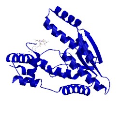 Image of CATH 1wxh