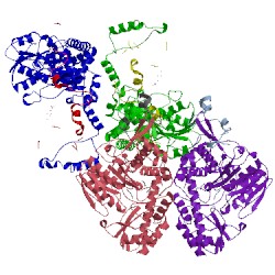 Image of CATH 1wyv