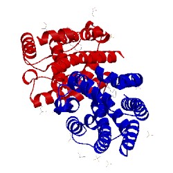 Image of CATH 1wzd