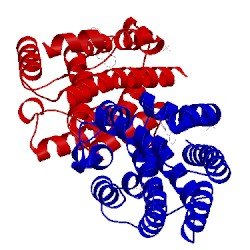 Image of CATH 1wzf