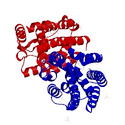 Image of CATH 1wzg