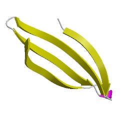 Image of CATH 1wznB02