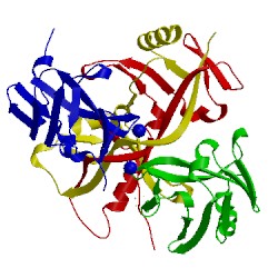 Image of CATH 1x0g