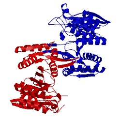 Image of CATH 1x0l