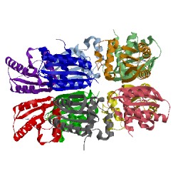 Image of CATH 1x0p