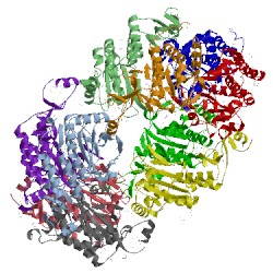 Image of CATH 1x0r