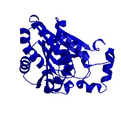 Image of CATH 1x1e