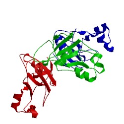 Image of CATH 1x1x
