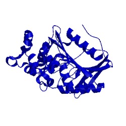 Image of CATH 1x2b