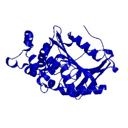 Image of CATH 1x2e