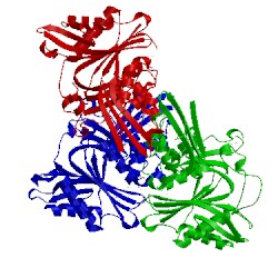 Image of CATH 1x2g