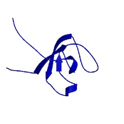 Image of CATH 1x2k
