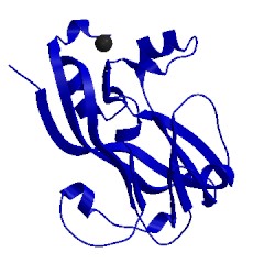 Image of CATH 1x36