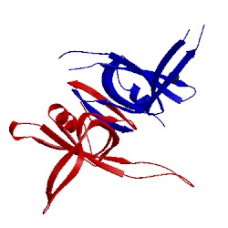 Image of CATH 1x3e