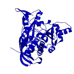 Image of CATH 1x56