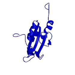 Image of CATH 1x5d