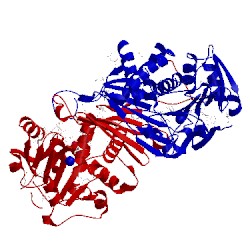 Image of CATH 1x7d