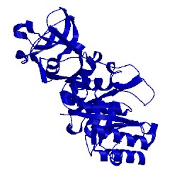 Image of CATH 1x7f