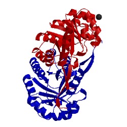 Image of CATH 1x7i