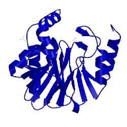Image of CATH 1x8h