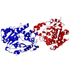 Image of CATH 1x8l