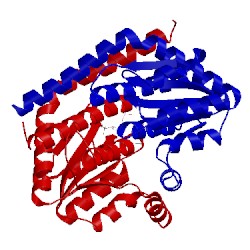 Image of CATH 1x92