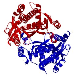 Image of CATH 1x9h