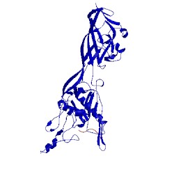Image of CATH 1x9t