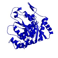 Image of CATH 1xac