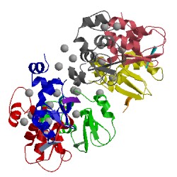 Image of CATH 1xb0