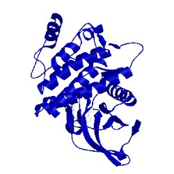 Image of CATH 1xbb