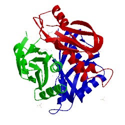 Image of CATH 1xbf