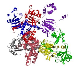 Image of CATH 1xcb