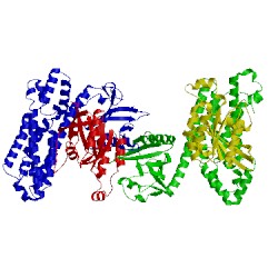 Image of CATH 1xcg