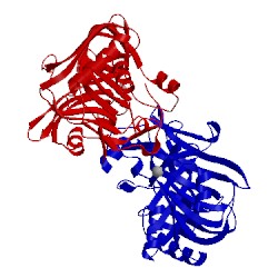 Image of CATH 1xcr