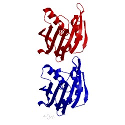 Image of CATH 1xdf
