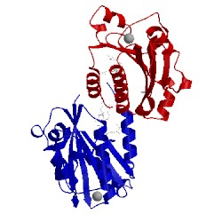 Image of CATH 1xdg