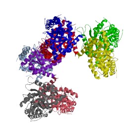 Image of CATH 1xdl