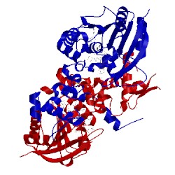 Image of CATH 1xds