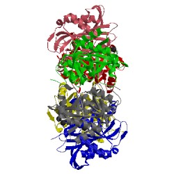 Image of CATH 1xe3